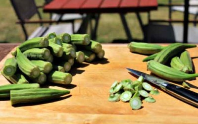 Grilled Okra with Green Chile Aïoli